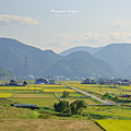 岡山森之藝術祭 票價.png