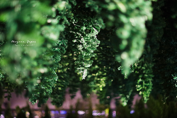 岡山森之藝術祭 《The Nature Above》.png