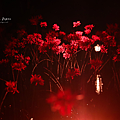 岡山森之藝術祭 蜷川實花《深淵中的彼岸之夢》.png