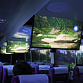 新感覺 XR 巴士 (WOWRIDE XR BUS).png