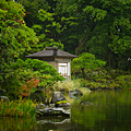 福井景點推薦 養浩館庭園.png