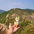 馬祖景點 螺磅山步道.png