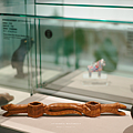 國史館 動物禮讚 - 總統副總統文物展.png