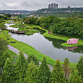 大溪景點 月眉人工濕地生態公園.png