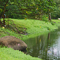 月眉人工濕地生態公園.png