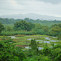 桃園景點 中庄吊橋.png