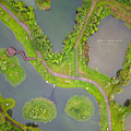 桃園景點 月眉人工濕地生態公園.png