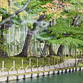 大崎市景點 内川.png
