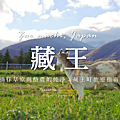 宮城藏王.png