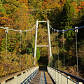 宮城藏王景點 山彥大吊橋.png