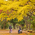 仙台楓葉 西公園.png