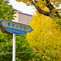 仙台楓葉 愛宕上杉通.png
