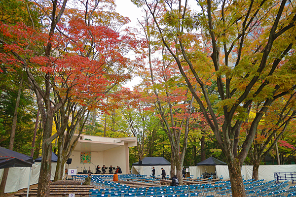 仙台銀杏 勾當台公園.png