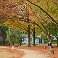 仙台楓葉 錦町公園.png