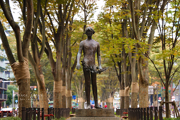 仙台銀杏 定禅寺通.png