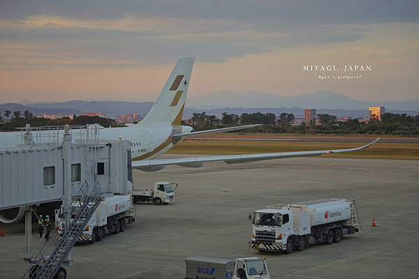 仙台國際機場 星宇航空.png