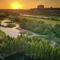 大溪 月眉人工濕地生態公園.png