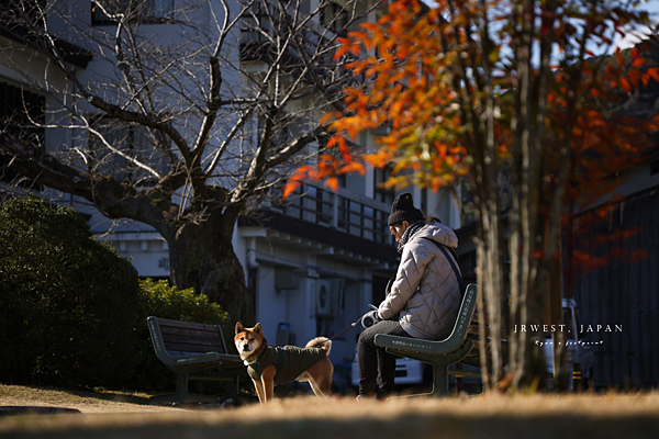 山口一日遊.png
