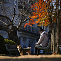 山口一日遊.png