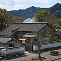 山口縣景點 吉香公園.png