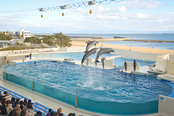 DOLPHIN STADIUM 海豚場館.png
