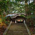 宮崎縣 槵觸神社.png