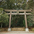 高千穗景點 槵觸神社.png