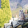 湯布院景點 湯布院花卉村.png
