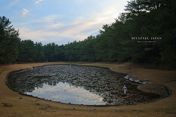江田神社 御池.png