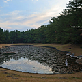江田神社 御池.png