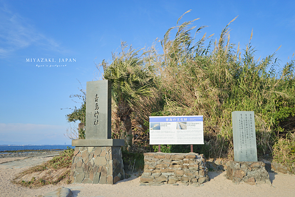 青島 亞熱帶植物群落.png