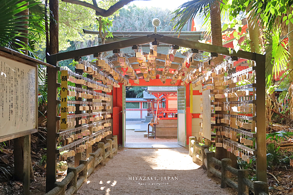 青島神社 介紹.png