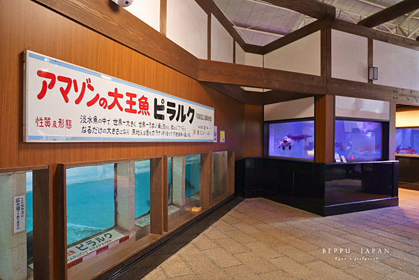 白池地獄 介紹.png