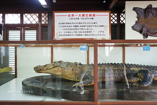 鬼山地獄 鱷魚.png