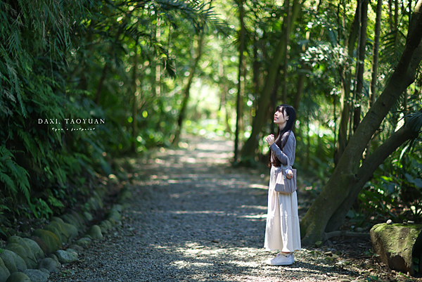 大嵙崁地質公園.png
