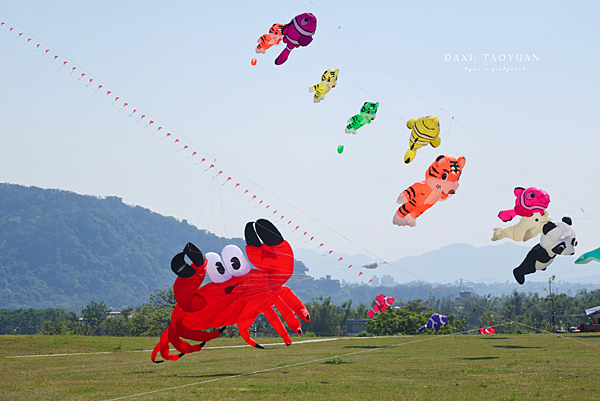 大嵙崁親水園區 風箏節.png