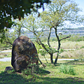 大溪 大嵙崁地質公園.png