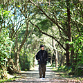 山豬湖生態親水園區 介紹.png
