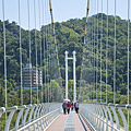 中庄吊橋 介紹.png