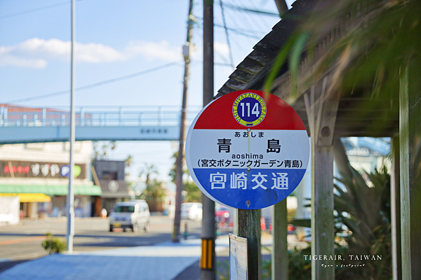 宮崎 青島.png