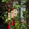 竹山國際茶道節.png