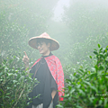 茶悦杉林的食農教育推廣中心.png
