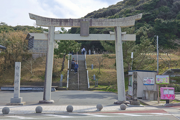 白兔神社 介紹.png