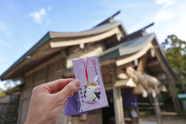 鳥取 白兔神社.png