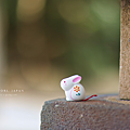 鳥取景點 白兔神社介紹.png