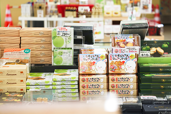 鳥取砂丘會館.png