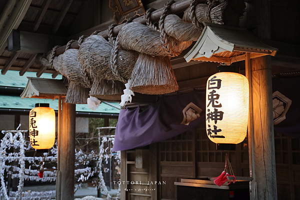 鳥取景點 白兔神社.png