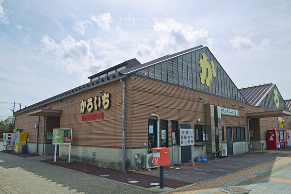 鳥取景點 賀露市場.png