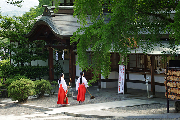 台灣虎航直飛岡山鳥取.png