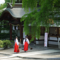 台灣虎航直飛岡山鳥取.png